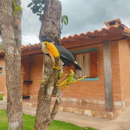 Villa Nova Chales Lima Duarte Exterior photo